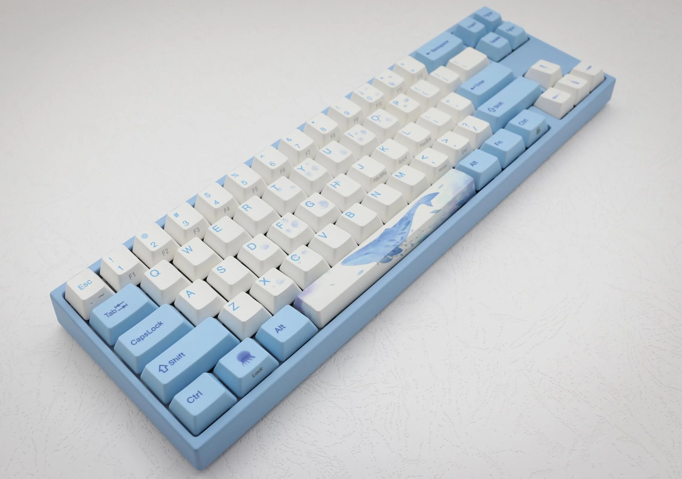 Ducky x Varmilo MIYA Pro Sea Melody 65% Bluetooth Dye Sub PBT Mechanical Keyboard - Image 5