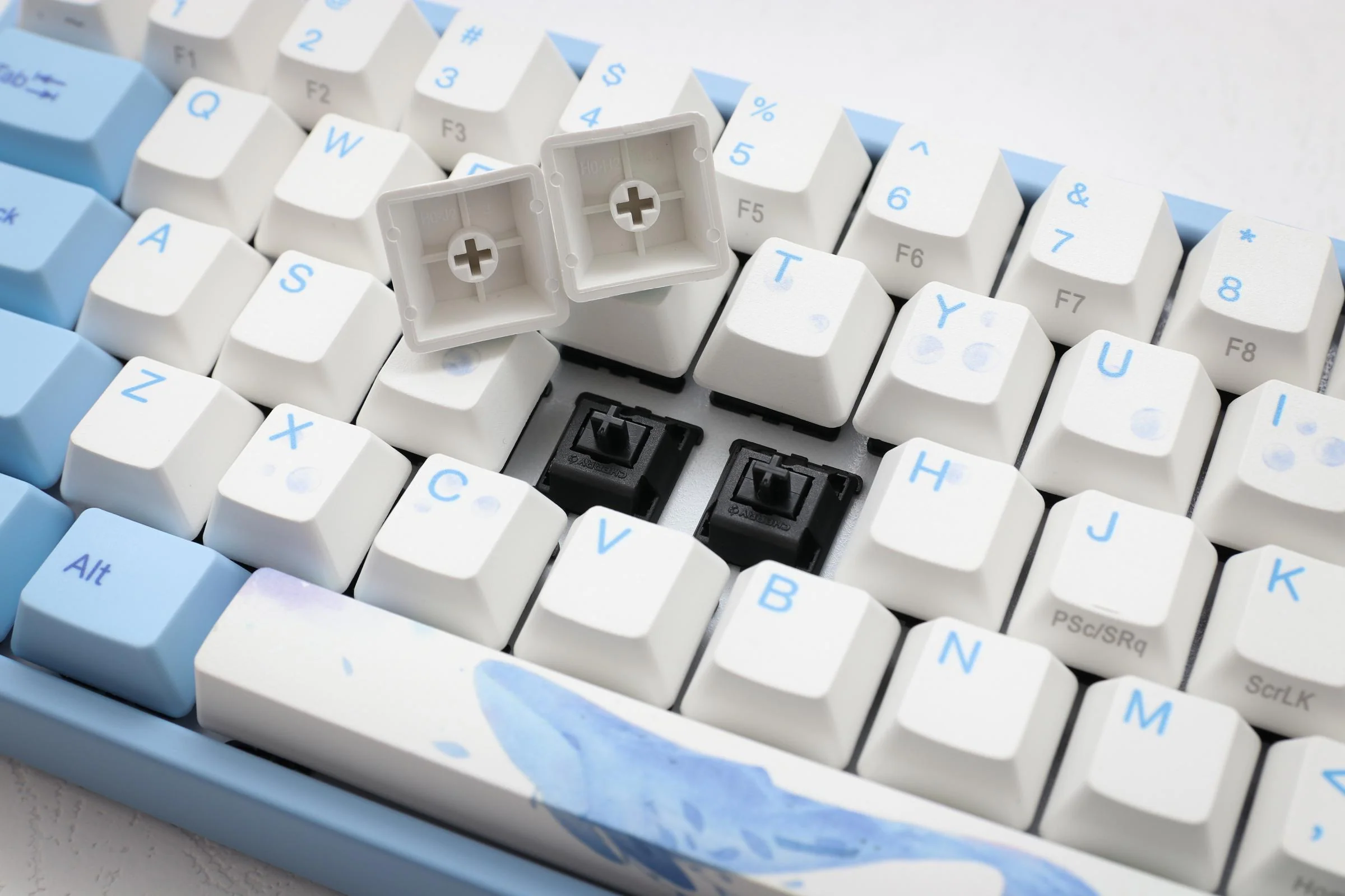 Ducky x Varmilo MIYA Pro Sea Melody 65% Bluetooth Dye Sub PBT Mechanical Keyboard - Image 7