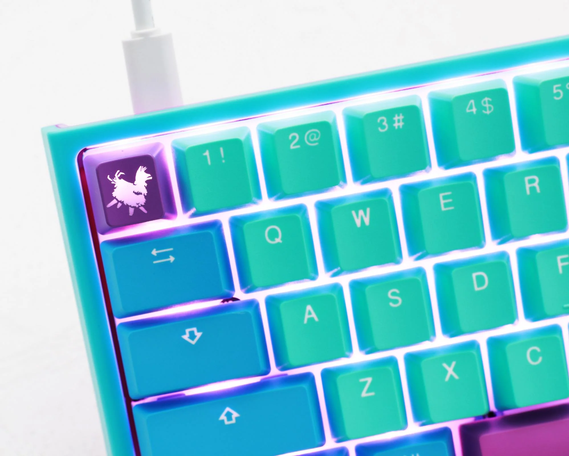Ducky x MK Frozen Llama One 2 Mini RGB LED 60% Double Shot PBT Limited Mechanical Keyboard - Image 9