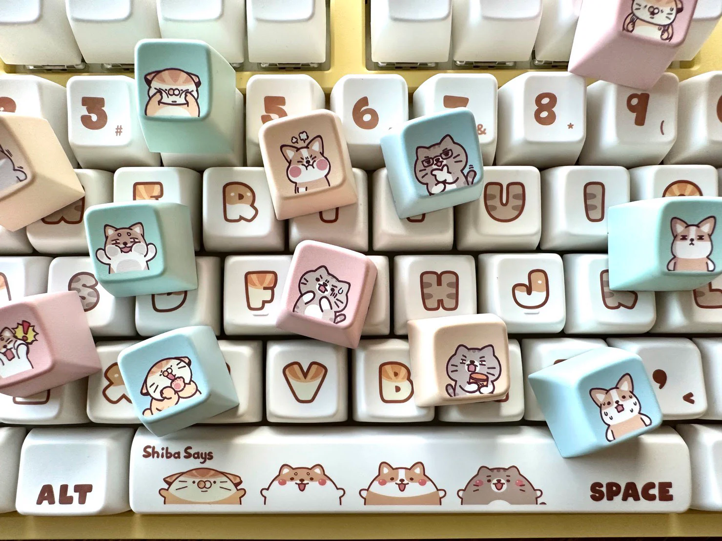 Shiba Says x Ducky One 2 RGB Dye Sub PBT Mechanical Keyboard - Image 15