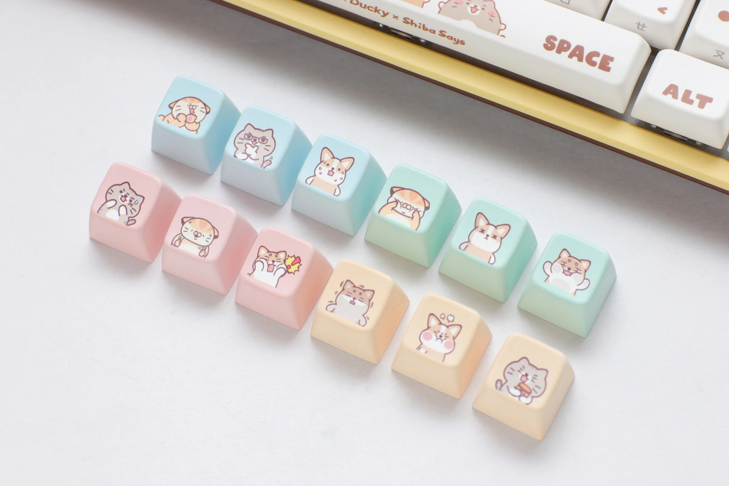 Shiba Says x Ducky One 2 RGB Dye Sub PBT Mechanical Keyboard - Image 9