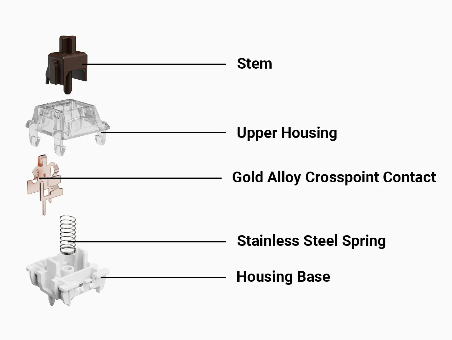 Gateron Jupiter Brown 55g Tactile PCB Mount Switch - Image 3
