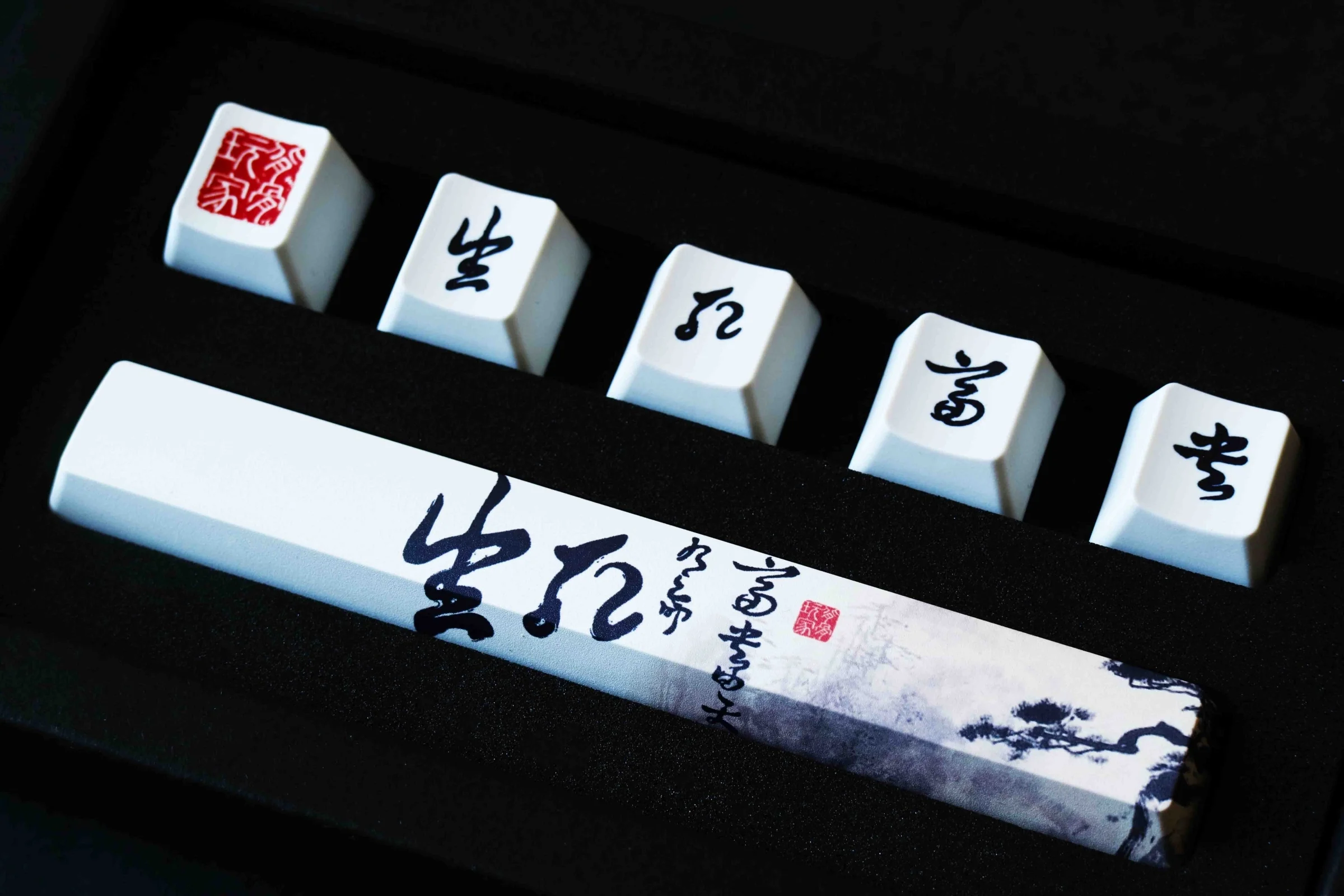 Traitors Providence 6 Key OEM Profile Dye Sub PBT Keycap Set - Image 3