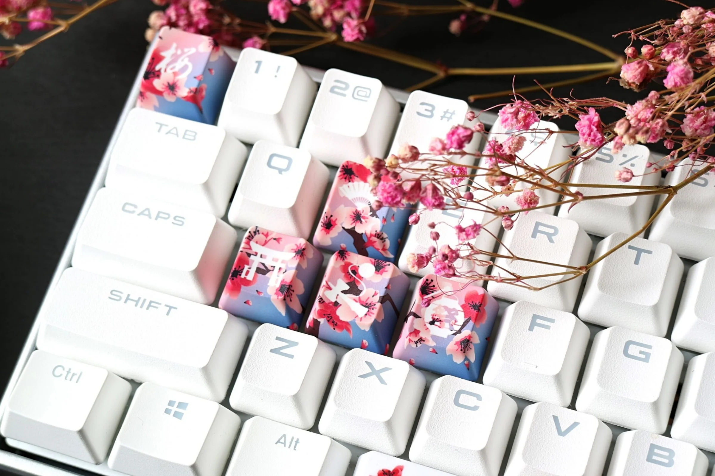 Traitors Sakura Shiro 6 Key OEM Profile Dye Sub Keycap Set - Image 3
